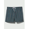 image:imageSolid amp Striped Mens Swimming Trunks with Liner  The Classic Small Multi Blue Pinstripe