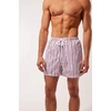 image:imageSolid amp Striped Mens Swimming Trunks with Liner  The Classic Small Navy X Red Logo Stripe