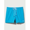 image:imageSolid amp Striped Mens Swimming Trunks with Liner  The Classic Small Peacock Blue