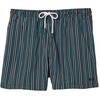 image:imageSolid amp Striped Mens Swimming Trunks with Liner  The Classic Small Multi Blue Pinstripe
