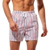 image:imageSolid amp Striped Mens Swimming Trunks with Liner  The Classic Small Navy X Red Logo Stripe