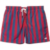 image:imageSolid amp Striped Mens Swimming Trunks with Liner  The Classic Small Red Navy Stripe